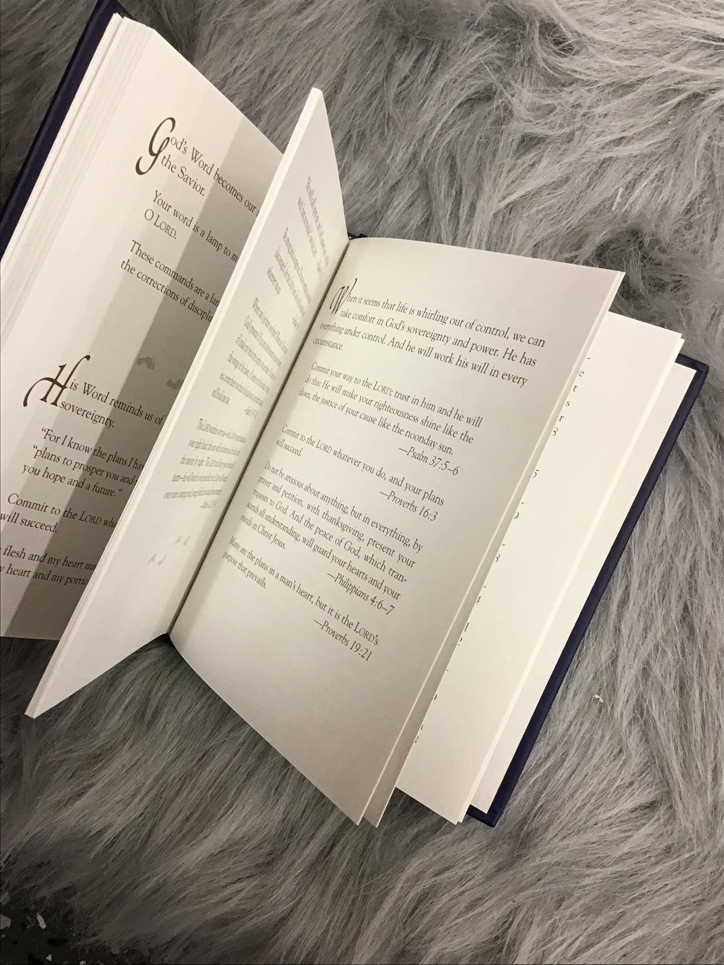 Footprints scripture with reflections