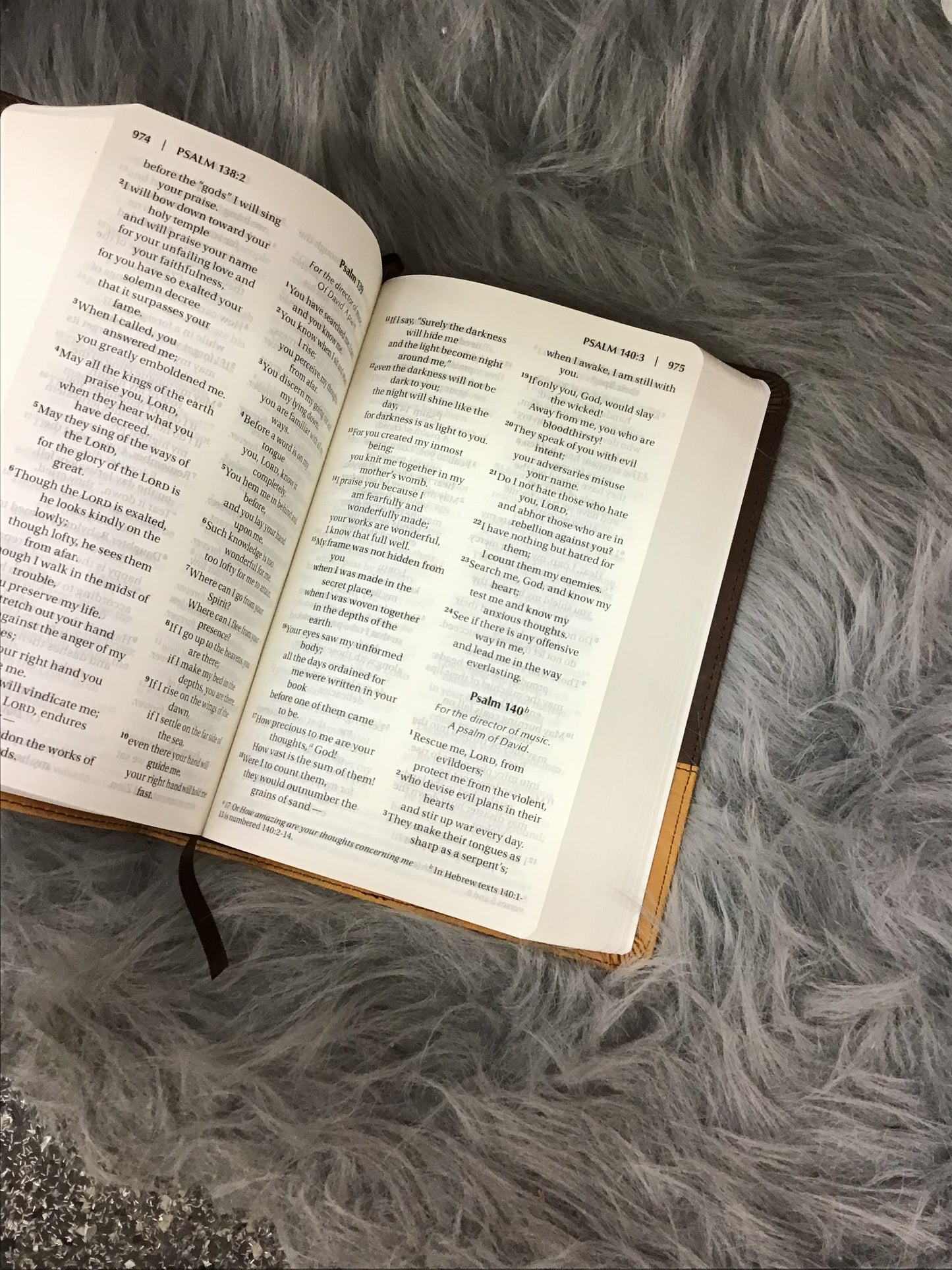 NIV Holy Bible brown & mustard