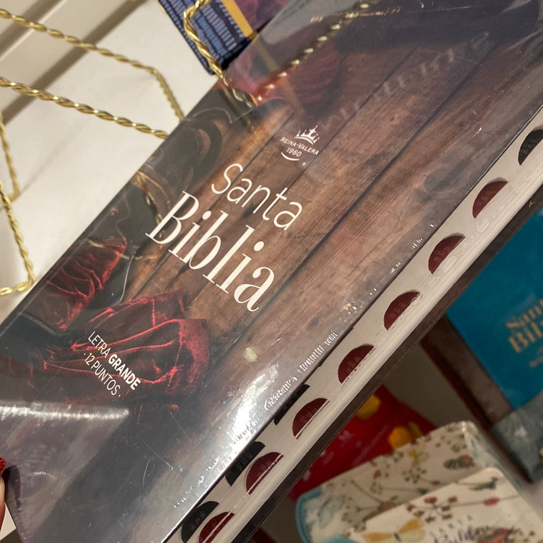 Santa Biblia Letra grande