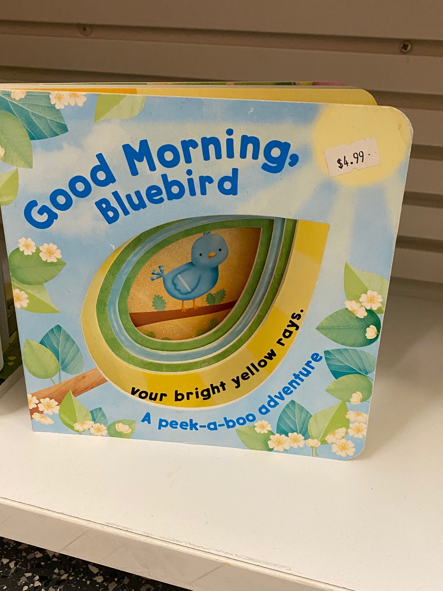 Good Morning Bluebird