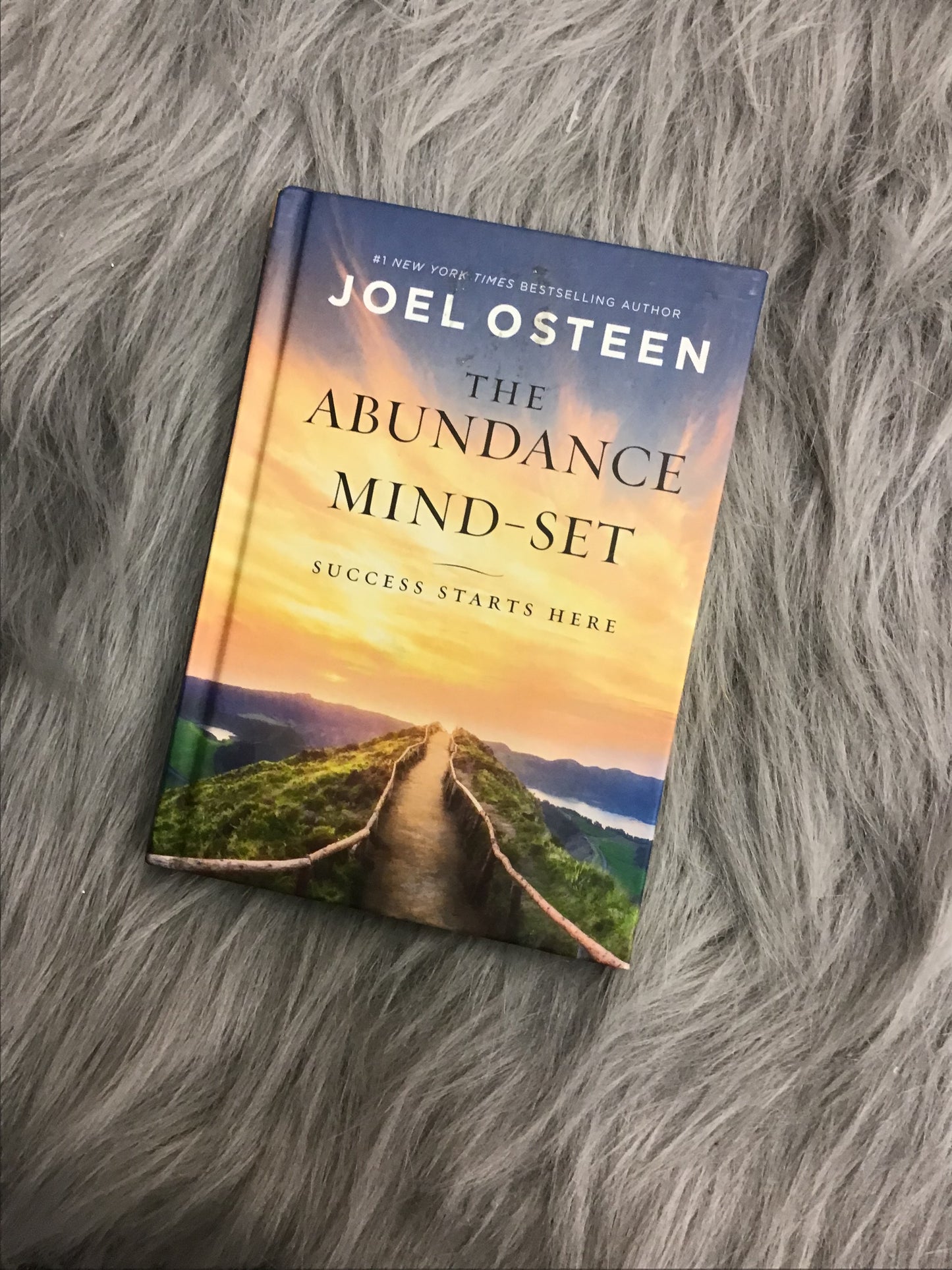 Joel Osteen The abundance mindset
