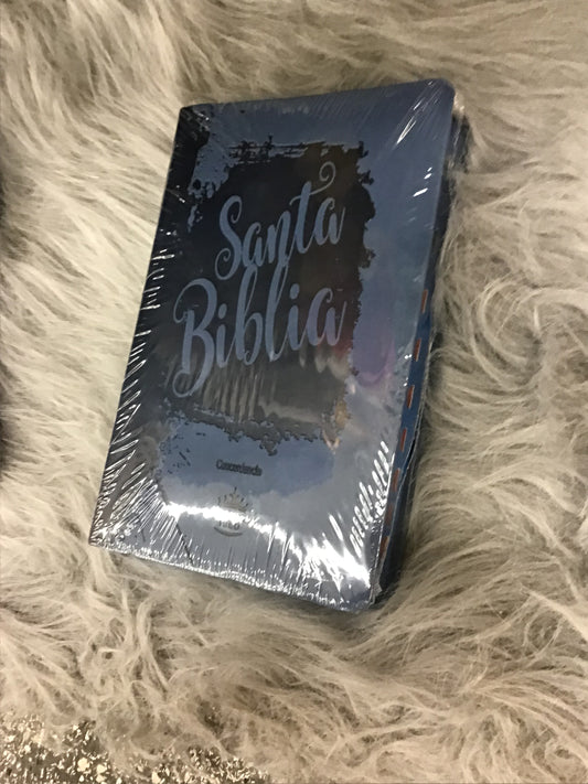 Santa biblia azul