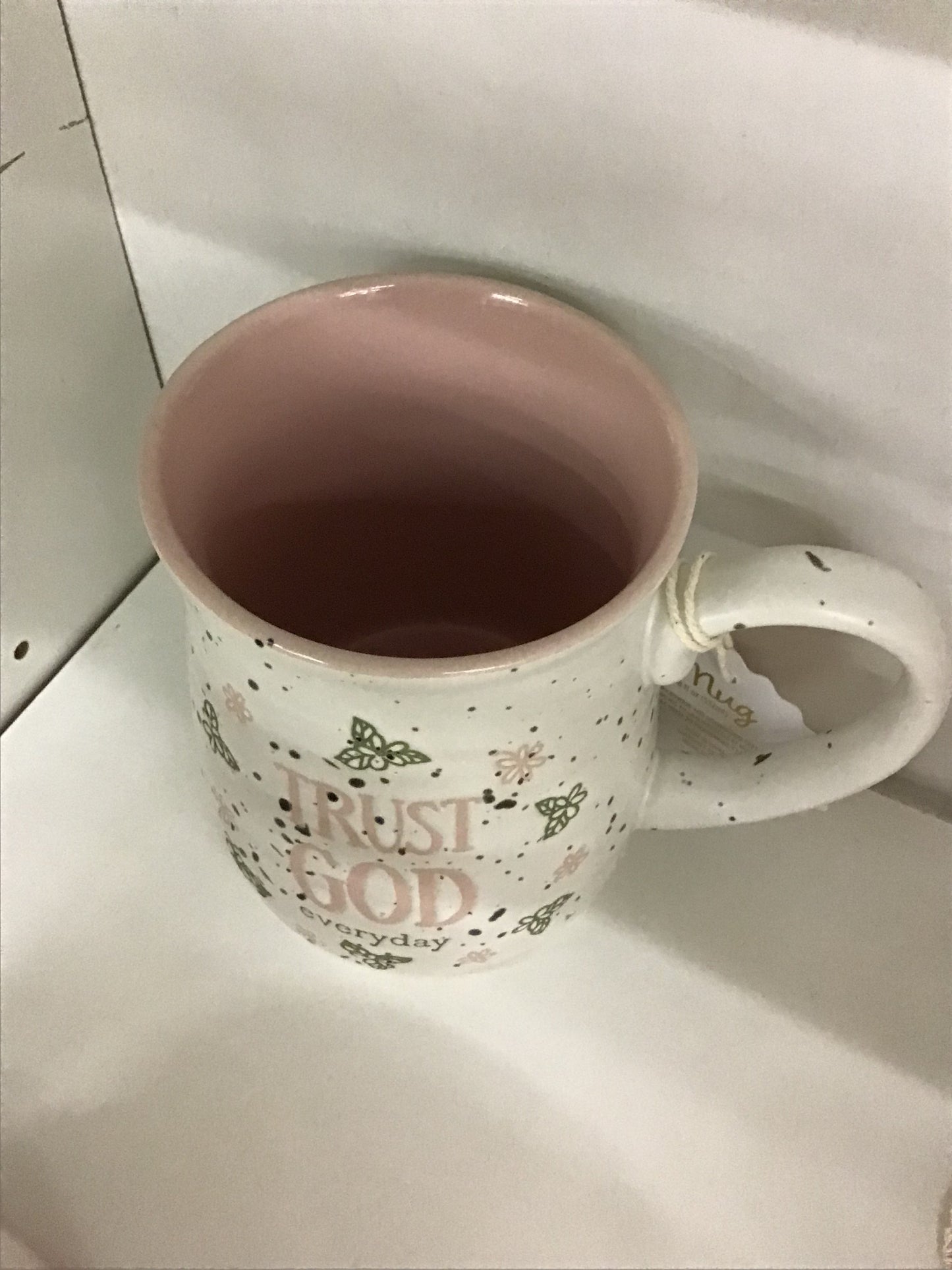 Trust God Everyday Mug