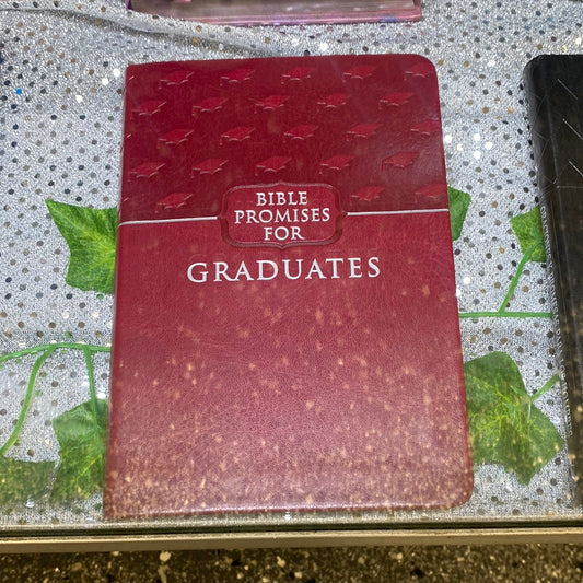 Bibles promises for graduates